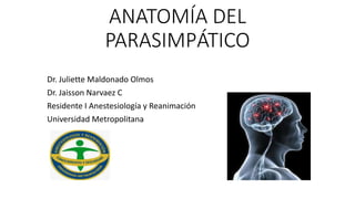ANATOMÍA DEL
PARASIMPÁTICO
Dr. Juliette Maldonado Olmos
Dr. Jaisson Narvaez C
Residente I Anestesiología y Reanimación
Universidad Metropolitana
 
