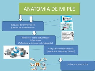 ANATOMIA DE MI PLE
Búsqueda de la Información
(Gestión de la información)
Reflexionar sobre las fuentes de
información
(Reflexionar y Accionar en la búsqueda)
Compartiendo la información
(Interactuar con datos y fuentes)
Utilizar con estos el PLN
 