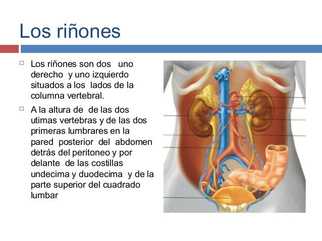 La osteocondrosis de pecho dorsal los síntomas y el tratamiento
