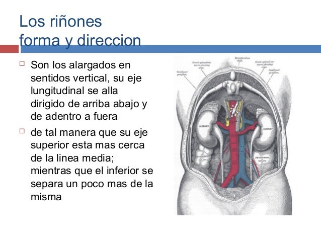 El dolor en la espalda y en lo bajo del vientre la diarrea