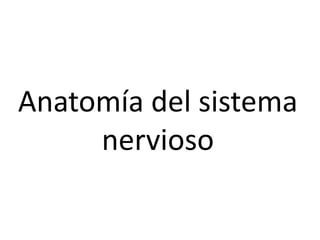 Anatomía del sistema
nervioso
 