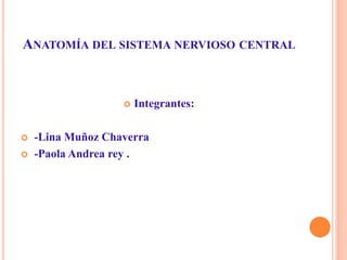 ANATOMÍA DEL SISTEMA NERVIOSO CENTRAL
 Integrantes:
 -Lina Muñoz Chaverra
 -Paola Andrea rey .
 