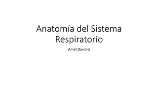 Anatomía del Sistema
Respiratorio
Amet David G
 