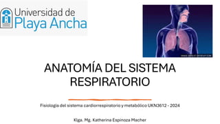 ANATOMÍA DEL SISTEMA
RESPIRATORIO
Fisiología del sistema cardiorrespiratorio y metabólico UKN3612 - 2024
Klga. Mg. Katherina Espinoza Macher
 