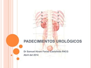 PADECIMIENTOS UROLÓGICOS
Dr Samuel Hiram Farías Castañeda R4CG
Abril del 2014
 