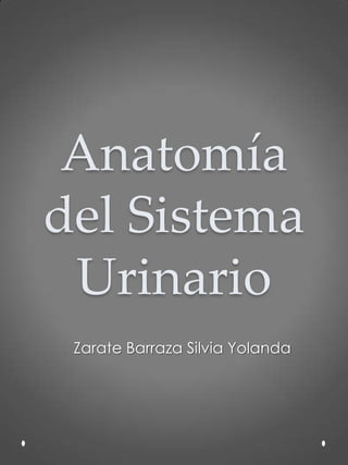 Anatomía
del Sistema
Urinario
Zarate Barraza Silvia Yolanda
 