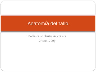 Botánica de plantas superiores 2º sem. 2009 Anatomía del tallo 