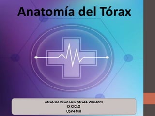 Anatomía del Tórax
 
