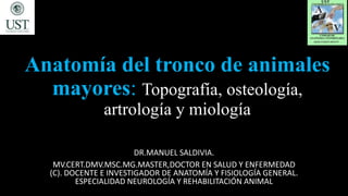 Anatomía del tronco de animales
mayores: Topografía, osteología,
artrología y miología
DR.MANUEL SALDIVIA.
MV.CERT.DMV.MSC.MG.MASTER,DOCTOR EN SALUD Y ENFERMEDAD
(C). DOCENTE E INVESTIGADOR DE ANATOMÍA Y FISIOLOGÍA GENERAL.
ESPECIALIDAD NEUROLOGÍA Y REHABILITACIÓN ANIMAL
 