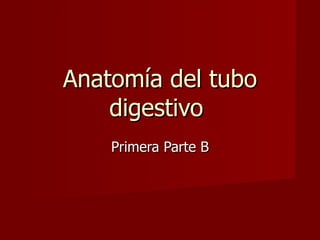 Anatomía del tubo digestivo  Primera Parte B 