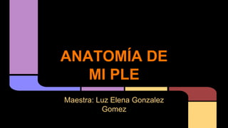 ANATOMÍA DE 
MI PLE 
Maestra: Luz Elena Gonzalez 
Gomez 
 