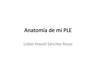 Anatomía de mi PLE 
Lizbet Araceli Sánchez Rosas 
 