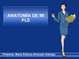 ANATOMÍA DE MI 
PLE 
Presenta: María Patricia Alvarado Hidrogo. 
 