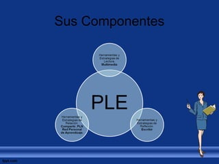 Sus Componentes 
 
