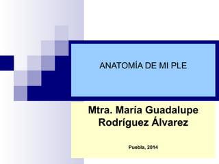 ANATOMÍA DE MI PLE 
Mtra. María Guadalupe 
Rodríguez Álvarez 
Puebla, 2014 
 