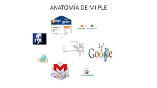 ANATOMÍA DE MI PLE
 