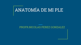 ANATOMÍA DE MI PLE
PROFR.NICOLAS PEREZ GONZALEZ
 