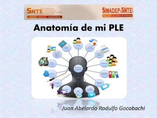 Anatomía de mi PLE 
Juan Abelardo Rodulfo Gocobachi 
 