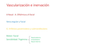 Vascularización e inervación
A Nasal: A. Oftálmica y A facial
Vena angular y Facial
G. linfáticos paratiroideos y submandibulares
Motor: Facial
Sensibilidad: Trigémino
Nasal externo
Inraorbitario
Nasal interno
 