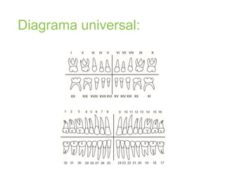 Diagrama universal:
 