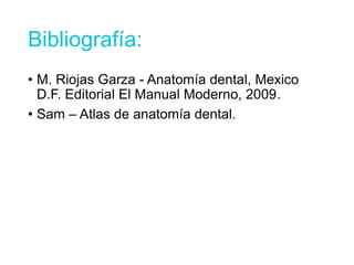 Bibliografía:
• M. Riojas Garza - Anatomía dental, Mexico
D.F. Editorial El Manual Moderno, 2009.
• Sam – Atlas de anatomía dental.
 