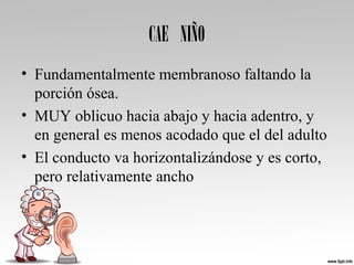 CAE NIÑO
• Fundamentalmente membranoso faltando la 
porción ósea. 
• MUY oblicuo hacia abajo y hacia adentro, y 
en general es menos acodado que el del adulto 
• El conducto va horizontalizándose y es corto, 
pero relativamente ancho 
 