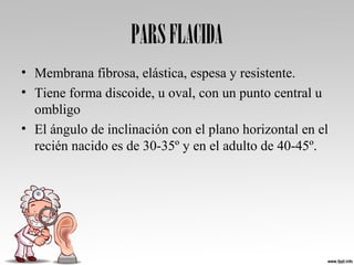 PARSFLACIDA
• Membrana fibrosa, elástica, espesa y resistente.
• Tiene forma discoide, u oval, con un punto central u
ombligo
• El ángulo de inclinación con el plano horizontal en el
recién nacido es de 30-35º y en el adulto de 40-45º.
 