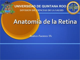 UNIVERSIDAD DE QUINTANA ROO
DIVISION DE CIENCIAS DE LA SALUD

Anatomía de la Retina
Andres Fuentes Uc

 