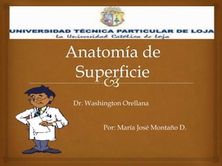 Dr. Washington Orellana
Por: María José Montaño D.
 