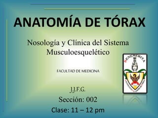 ANATOMÍA DE TÓRAX 
Nosología y Clínica del Sistema 
Musculoesquelético 
FACULTAD DE MEDICINA 
J.J.F.G. 
Sección: 002 
Clase: 11 – 12 pm 
 