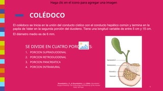 ANATOMÍA DE VESICULA Y VIA BILIAR COMPLETO | PPTX