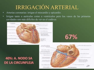 Anatomía e histología del corazón | PPTX