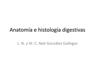 Anatomía e histología digestivas
L. N. y M. C. Noé González Gallegos
 