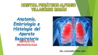 Anatomía,
Embriología e
Histología del
Aparato
Respiratorio
SERVICIO DE
NEONATOLOGIA
 