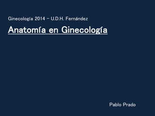 Anatomía en Ginecología 
Pablo Prado 
Ginecología 2014 – U.D.H. Fernández 
 