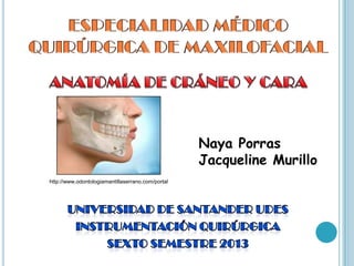 Naya Porras
Jacqueline Murillo
http://www.odontologiamantillaserrano.com/portal
 