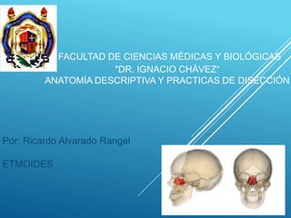 FACULTAD DE CIENCIAS MÉDICAS Y BIOLÓGICAS
"DR. IGNACIO CHÁVEZ“
ANATOMÍA DESCRIPTIVA Y PRACTICAS DE DISECCIÓN
Por: Ricardo Alvarado Rangel
ETMOIDES
 