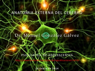 ANATOMIA EXTERNA DEL CEREBRO

Dr. Manuel González Gálvez

P S I Q U I AT R Í A D E A D O L E S C E N T E S
https://www.facebook.com/psiquiatriapublicaciones?ref=hl
10 Enero de 2014

 