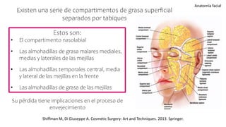 anatom-a-facial-pptx