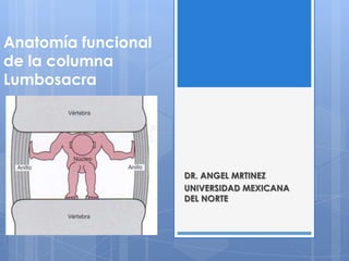 Anatomía funcional
de la columna
Lumbosacra




                     DR. ANGEL MRTINEZ
                     UNIVERSIDAD MEXICANA
                     DEL NORTE
 