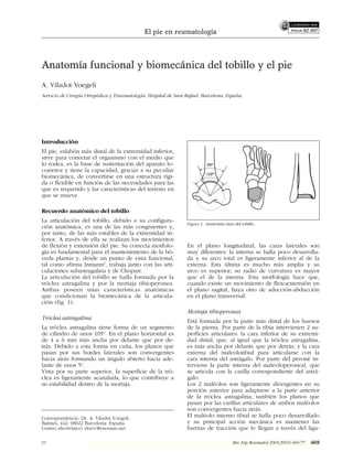 Angulo Tobillo Anatomía funcional y biomecánica del tobillo y el pie.pdf