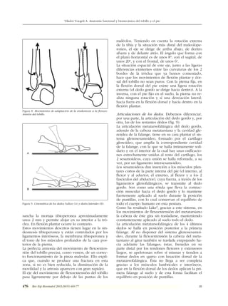 Angulo Tobillo Anatomía funcional y biomecánica del tobillo y el pie.pdf