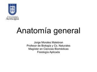 Anatomía general Jorge Morales Malebran Profesor de Biología y Cs. Naturales Magíster en Ciencias Biomédicas Fisiología Aplicada 