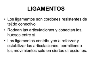 LIGAMENTOS
• Los ligamentos son cordones resistentes de
  tejido conectivo
• Rodean las articulaciones y conectan los
  huesos entre sí
• Los ligamentos contribuyen a reforzar y
  estabilizar las articulaciones, permitiendo
  los movimientos sólo en ciertas direcciones.
 