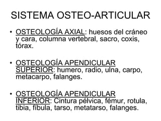 SISTEMA OSTEO-ARTICULAR
• OSTEOLOGÍA AXIAL: huesos del cráneo
  y cara, columna vertebral, sacro, coxis,
  tórax.

• OSTEOLOGÍA APENDICULAR
  SUPERIOR: humero, radio, ulna, carpo,
  metacarpo, falanges.

• OSTEOLOGÍA APENDICULAR
  INFERIOR: Cintura pélvica, fémur, rotula,
  tibia, fíbula, tarso, metatarso, falanges.
 