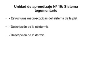 Unidad de aprendizaje Nº 10: Sistema tegumentario - Estructuras macroscopicas del sistema de la piel - Descripción de la epidermis - Descripción de la dermis 