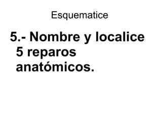 Esquematice  5.- Nombre y localice 5 reparos anatómicos. 