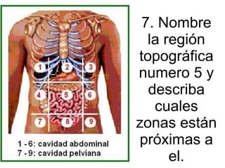 7. Nombre la región topográfica numero 5 y describa cuales zonas están próximas a el. 
