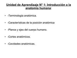 Unidad de Aprendizaje N° 1: Introducción a la anatomía humana : -Terminología anatómica. -Características de la posición anatómica -Planos y ejes del cuerpo humano. -Cortes anatómicos. -Cavidades anatómicas. 