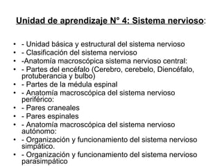 Unidad de aprendizaje N° 4: Sistema nervioso : - Unidad básica y estructural del sistema nervioso - Clasificación del sistema nervioso -Anatomía macroscópica sistema nervioso central: - Partes del encéfalo (Cerebro, cerebelo, Diencéfalo, protuberancia y bulbo) - Partes de la médula espinal - Anatomía macroscópica del sistema nervioso periférico: - Pares craneales - Pares espinales - Anatomía macroscópica del sistema nervioso autónomo: - Organización y funcionamiento del sistema nervioso simpático. - Organización y funcionamiento del sistema nervioso parasimpático 